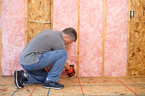Best Insulation Maintenance and Repair in Morgans Point Resort, TX
